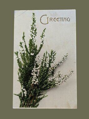 10/$25 Antique 1906 Postmarked Golden Age Floral Greeting Postcard Heather